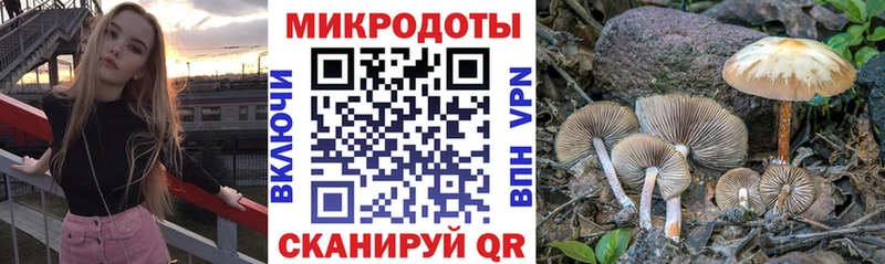 Псилоцибиновые грибы Psilocybine cubensis  Купить  Черняховск 